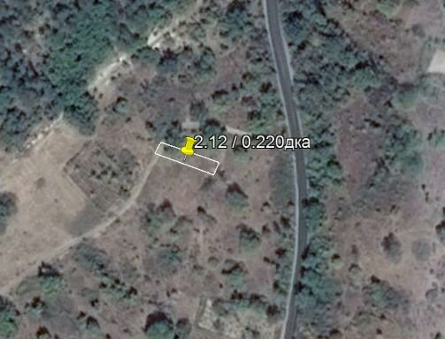 Продава лозе в село Силен