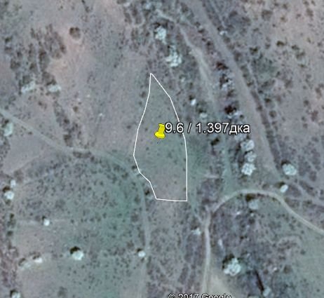 Продава лозе в Оряховица