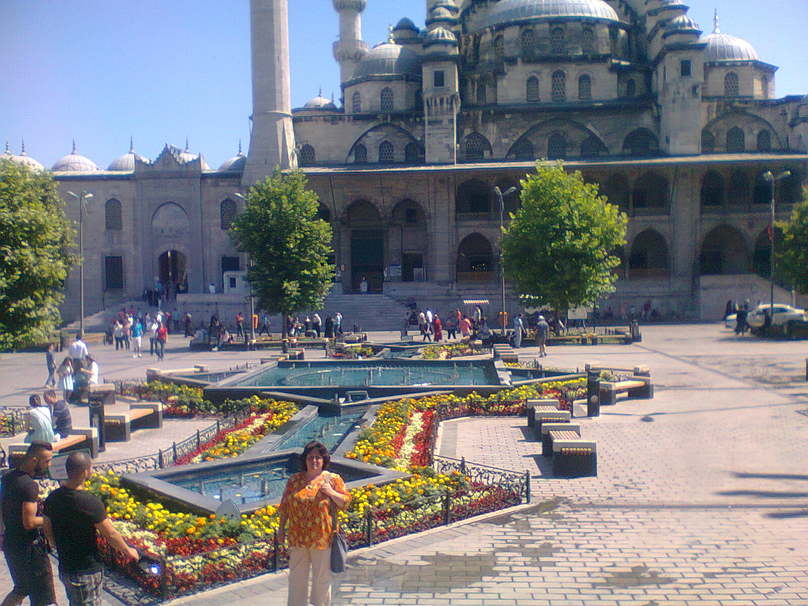 Baş Agriada Ltd.