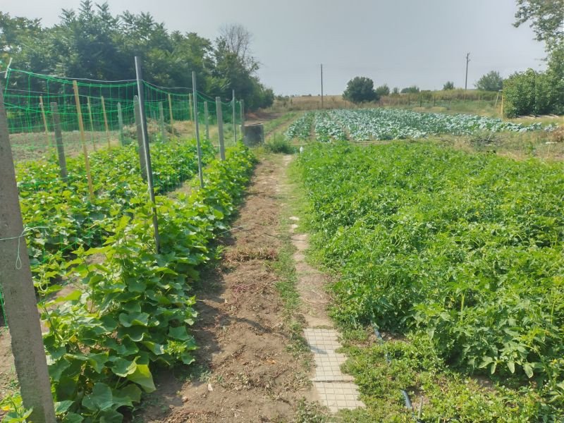 Обработваме земя - Градините на Агриада