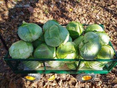 Продаваме земя