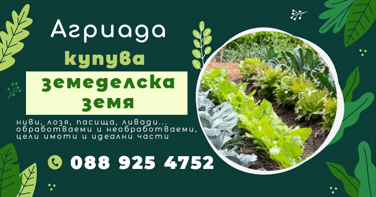 Агриада купува ниви