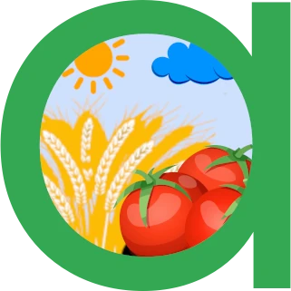 Номенклатура на начина на трайно ползване на физическите блокове