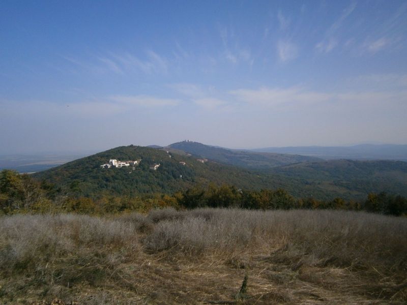 Бакаджиците