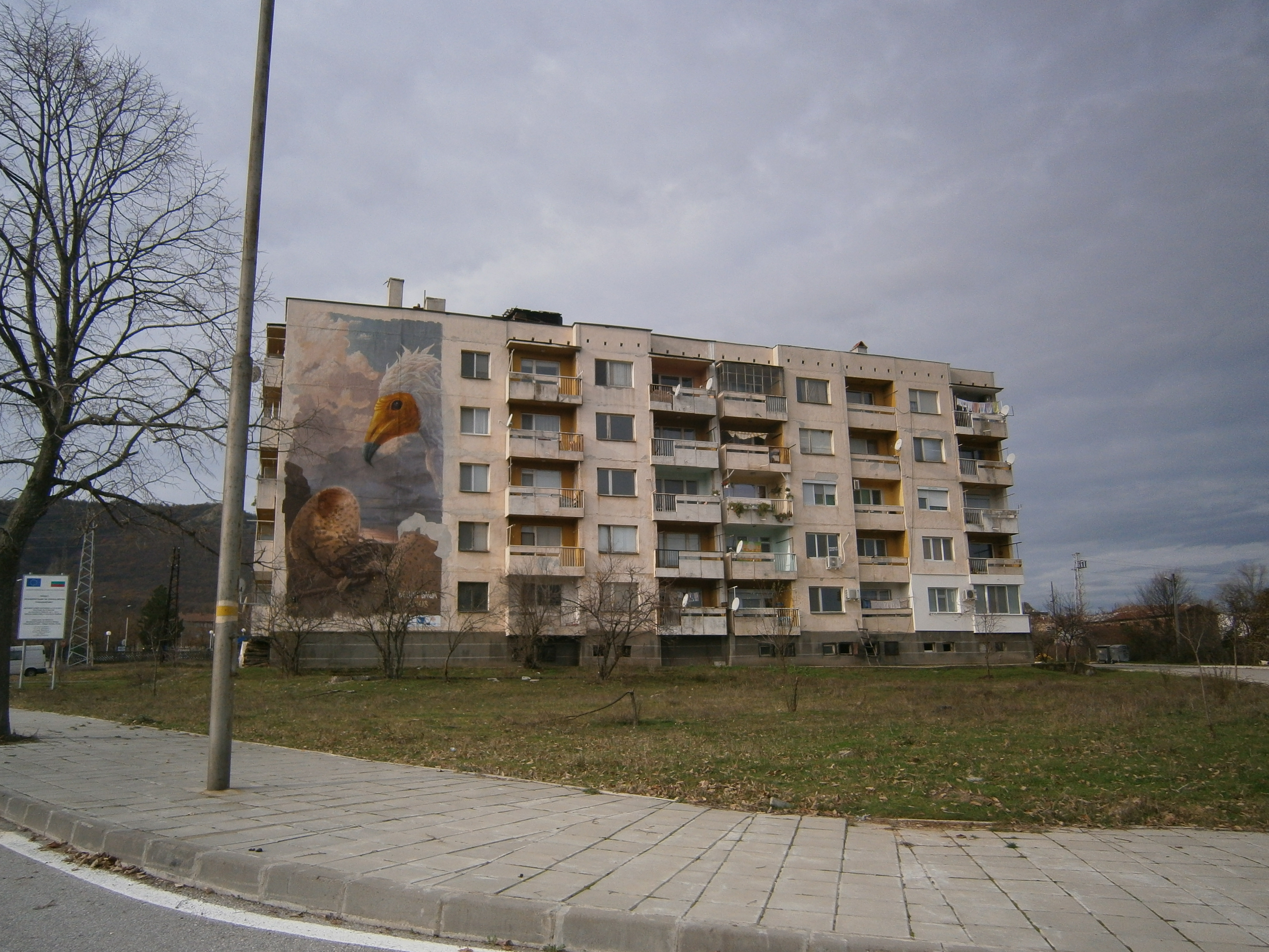 Маджарово - градът на лешоядите