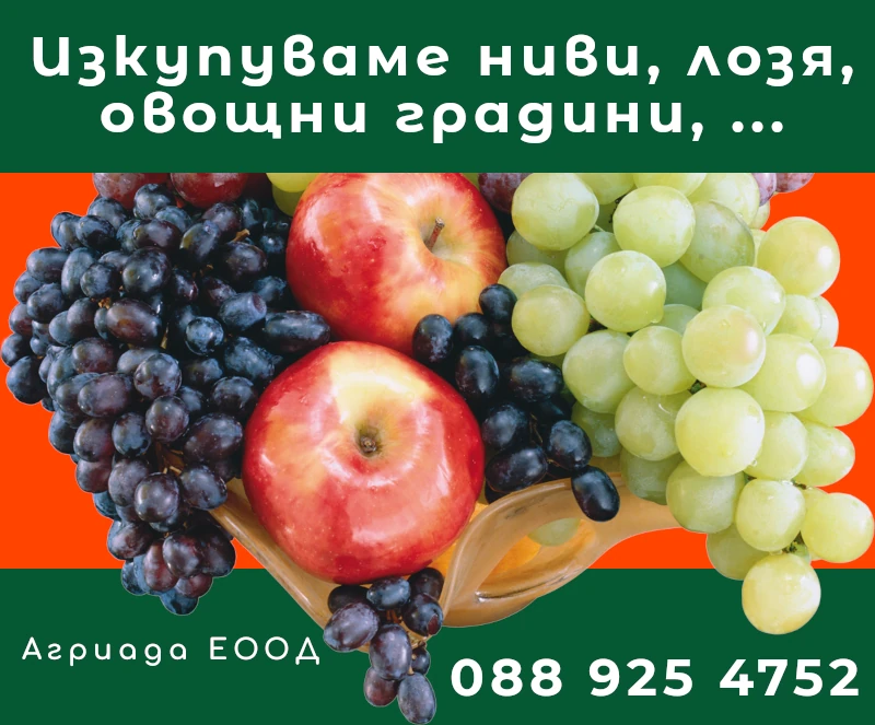 Изкупуваме лозя и овощни градини