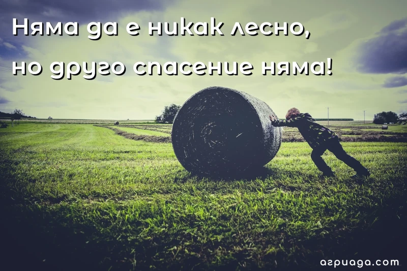 Изоставените ниви и дворове ще отстъпват място на тучни градини