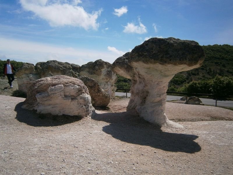 Каменните гъби край село Бели пласт