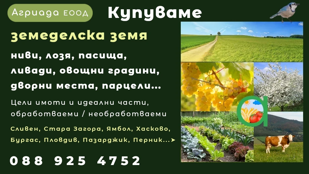 Купуваме и продаваме земеделска земя - ниви, лозя, пасища, ливади, зеленчукови градини, овощни градини, дворни места