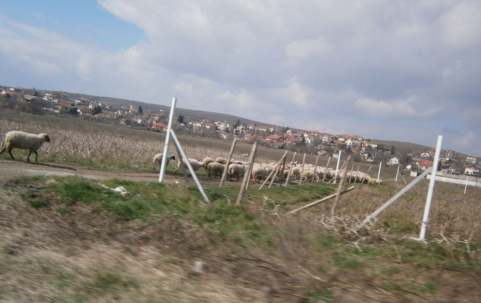 Агриада купува земеделска земя в Лъка