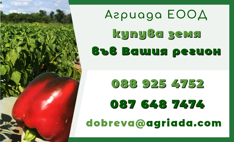 Продава купува земя-от къде да видя номера на имота