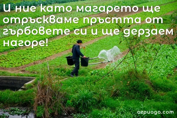 Поливно земеделие - механизирано поливане