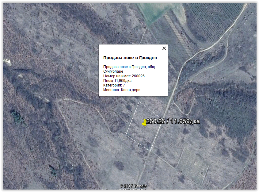 Продава лозе в Грозден