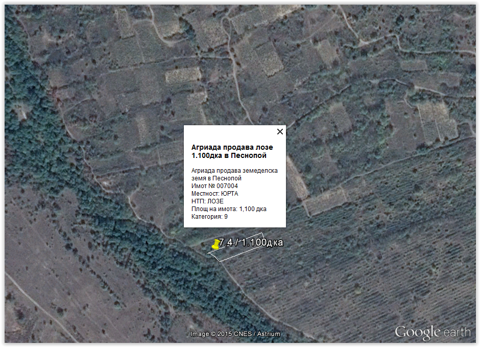 Продава лозе 1.100дка в песнопой