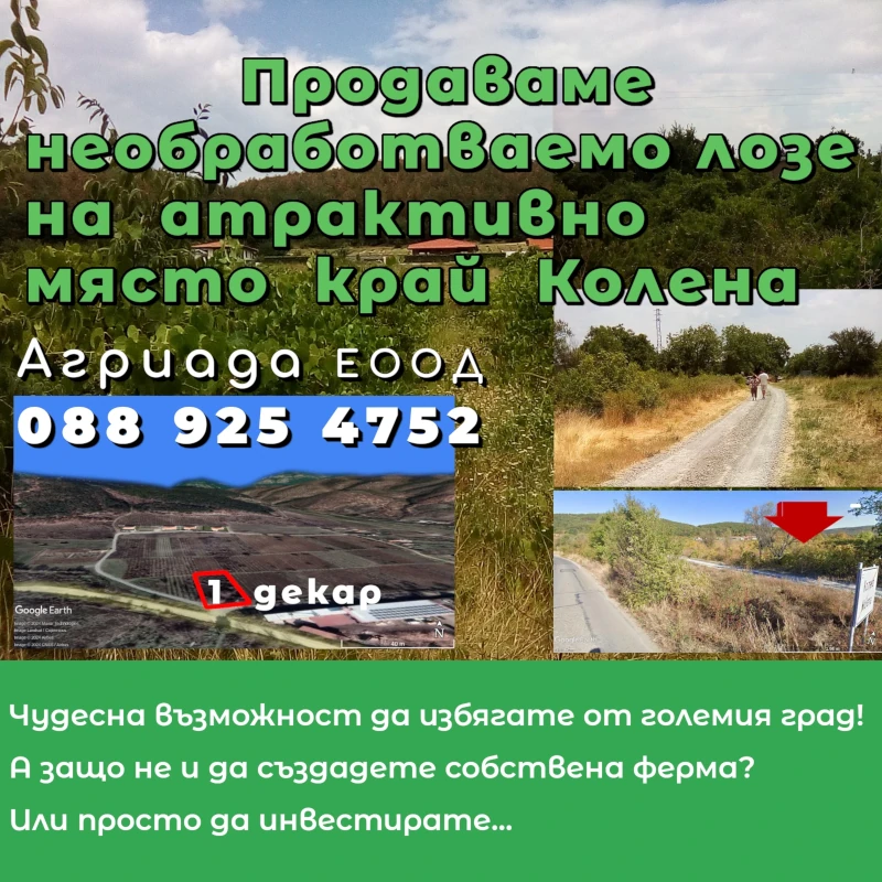 Продаваме необработваемо лозе до село Колена