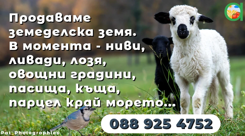 Продаваме земя - ниви, лозя, пасища, ливади, парцели, овощни градини