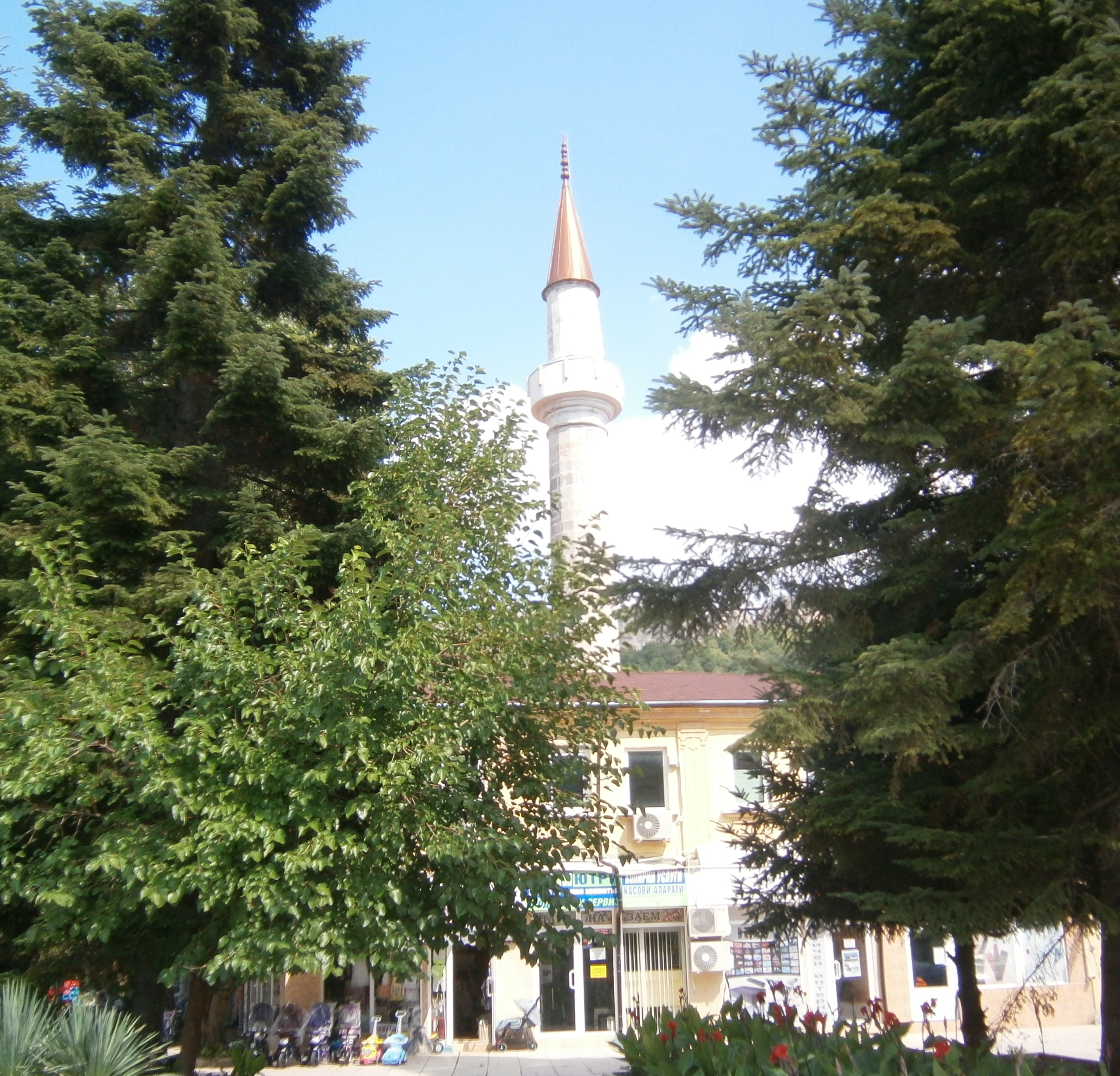 Провадия джамия