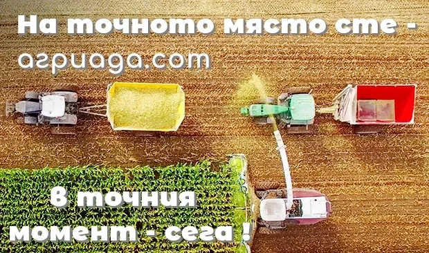 На точното място сте - agriada.com в точния момент!