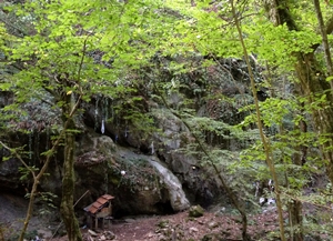 Агриада купува земеделска земя Сливарово