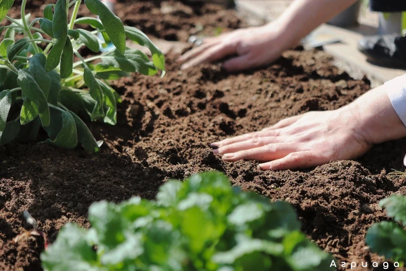 С грижа за нашата земя