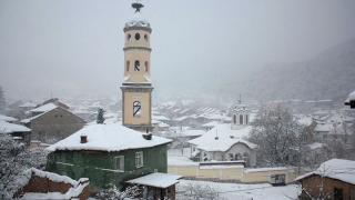 Агриада купува земеделска земя в Брацигово