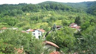 Купува земеделска земя в Чифлик