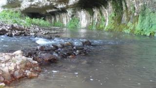 Агриада купува земеделска земя в Горталово