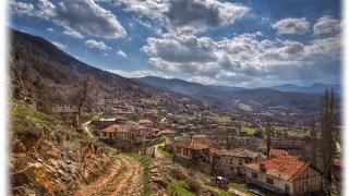 Агриада купува земеделска земя в Жребичко