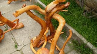 Агриада купува земеделска земя в Пчелин