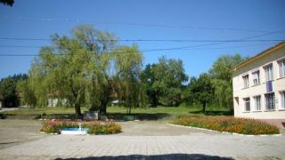 Агриада купува земеделска земя в Стара река