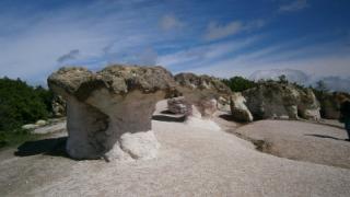 Агриада купува земеделска земя в Бели пласт