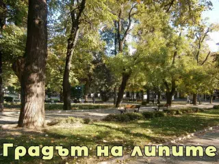 Цена на земеделската земя в област Стара Загора