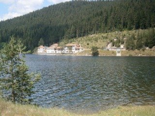Купуваме обработваема земя в област Пазарджик