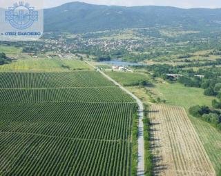 Агриада купува земеделска земя в Отец Паисиево